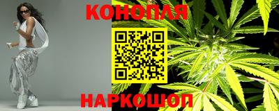 крисы Кимры