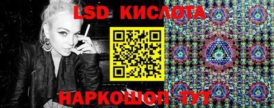 прущие грибы Канаш