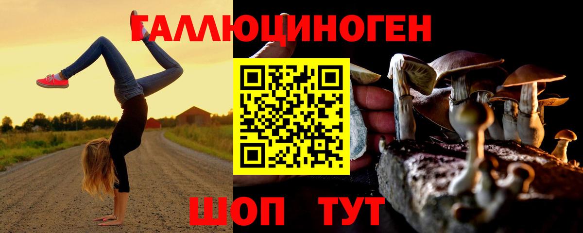 Ухта  Псилоцибиновые грибы Psilocybine cubensis  Вход с VPN 